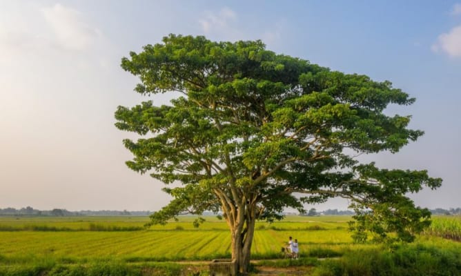 địa điểm chụp ảnh ở Huế