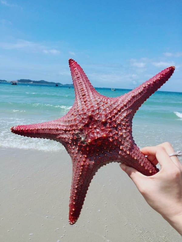 chụp ảnh ở Cô Tô