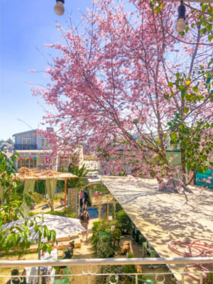 homestay chụp ảnh cưới ở Đà Lạt